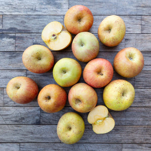 Organic Honeycrisp Apples – Frog Hollow Farm