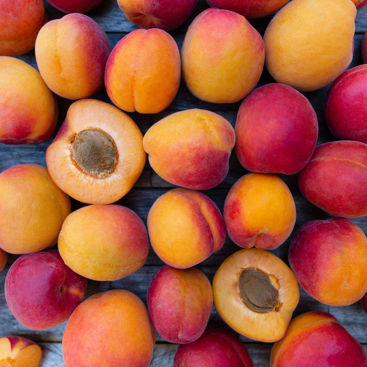 2022 Gotta Have My Apricots | Organic Fruit Club | 4 Shipments