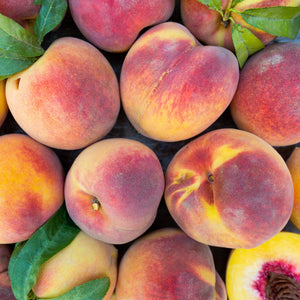 Organic Yellow Peach - Organic Peaches for Sale – Frog Hollow Farm