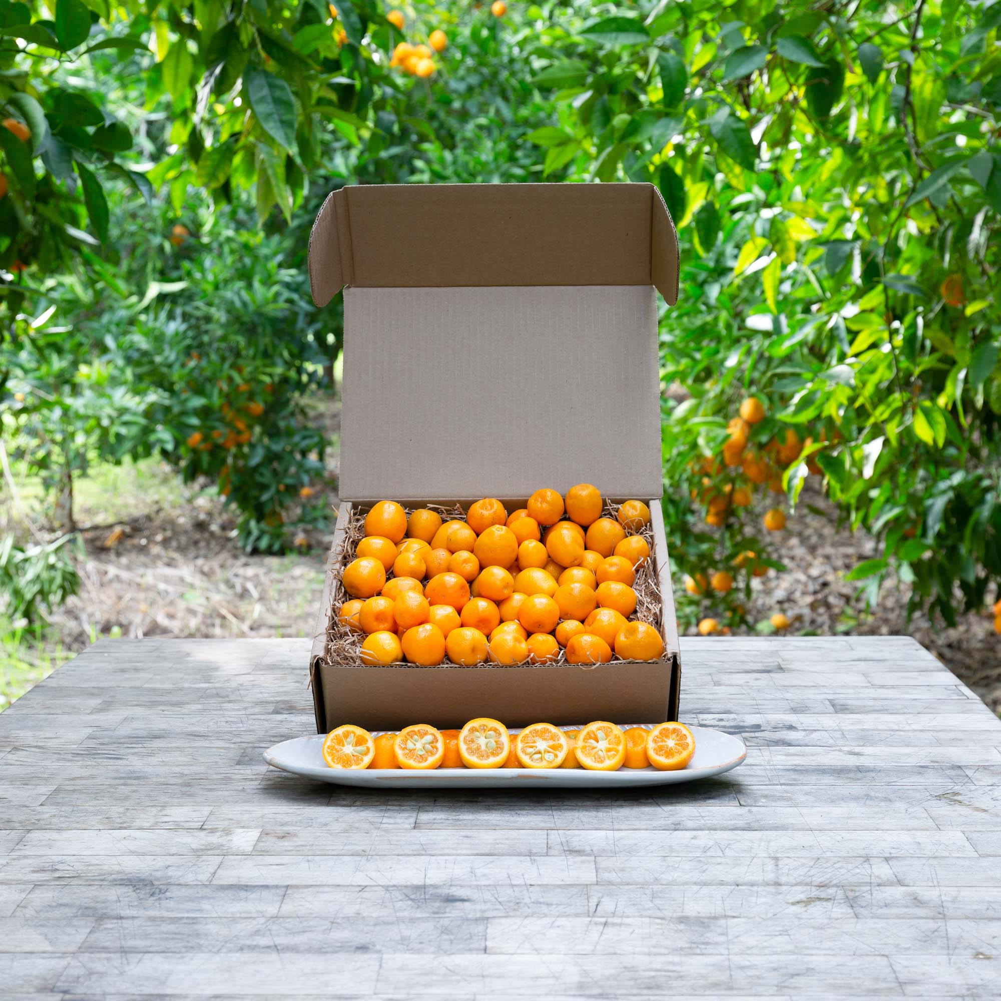 Organic Kumquats - Frog Hollow Farm