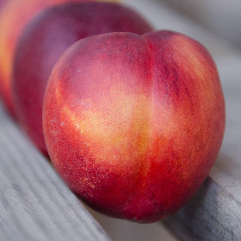 Image of Need My Nectarines