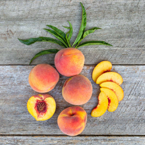 Organic Yellow Peach - Organic Peaches for Sale – Frog Hollow Farm