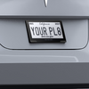 reviver license plate