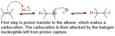 basic addition reaction mechanism with markovnikov regioselectivity