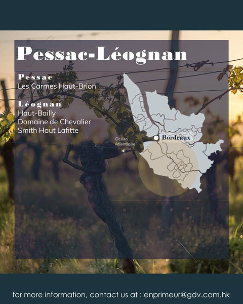 Wine Map of Bordeaux Pessac Leognan
