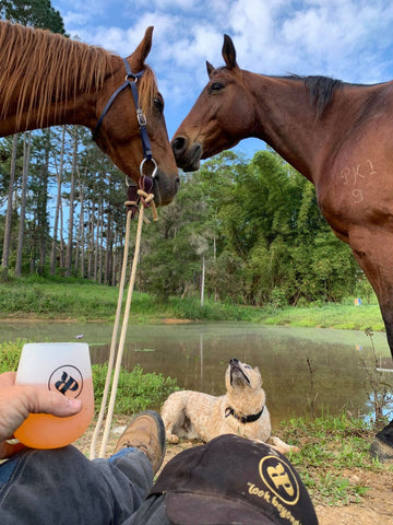 Relaxing by the damn with horses and dog