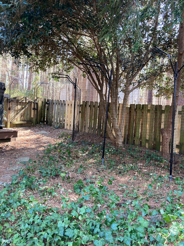 Purrfect Fence Freestanding Cat Fence Excludes Large Trees From Within Cat-Safe Area