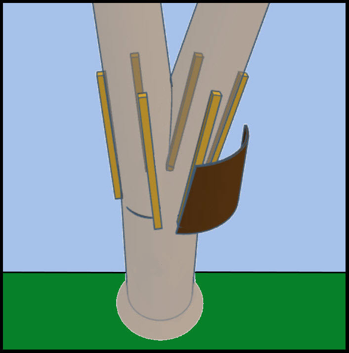 Installing Flashing On A Multi-Trunk Tree Diagram