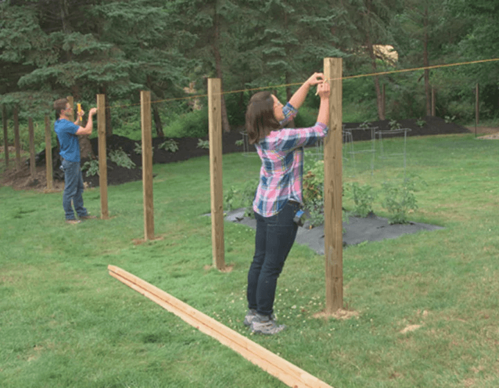 a man and a woman installing fence to protect cats