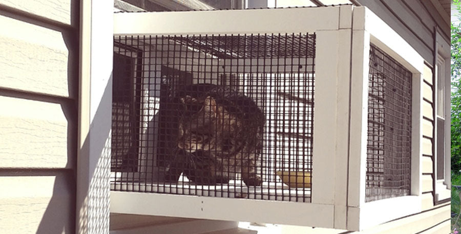 patio cat enclosures