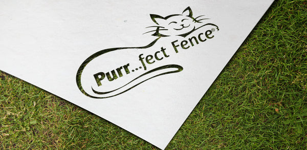 Purrfect Fence