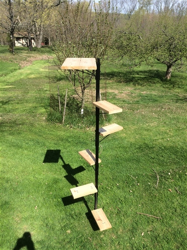 outdoor cat tree