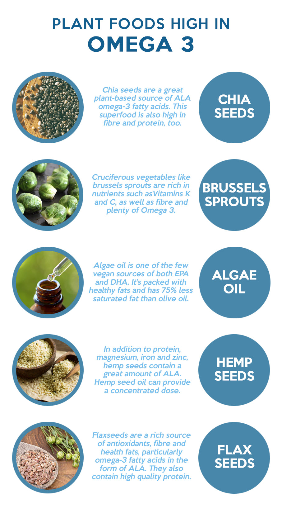 Plant-based sources of Omega 3 – Your