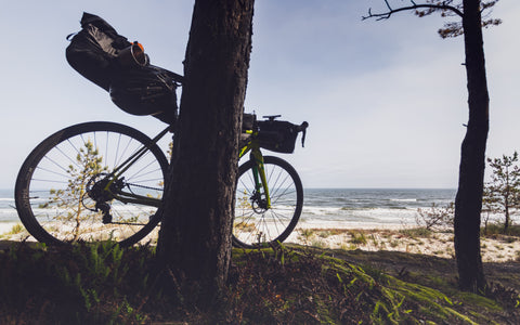 Bike resting on a tree