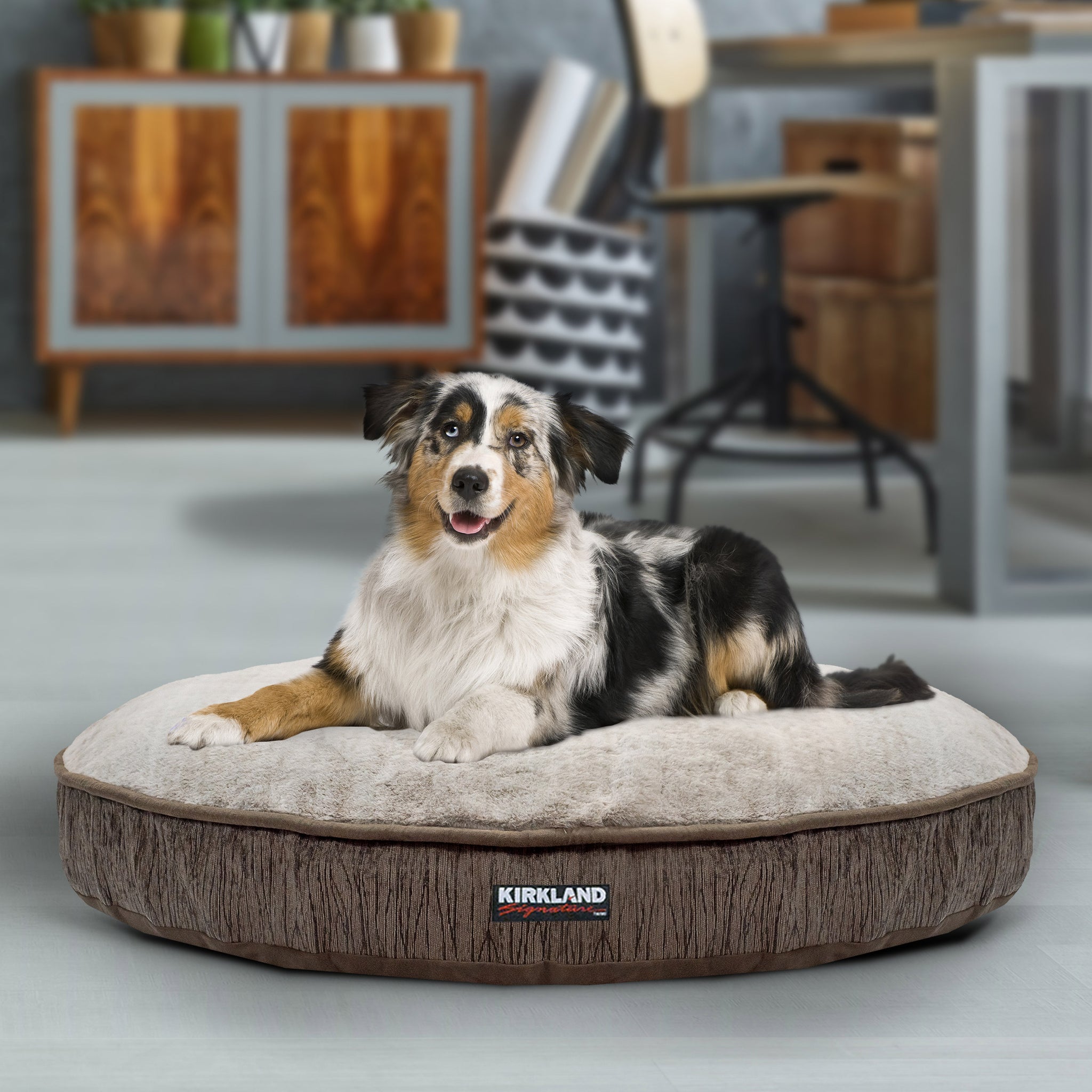 kirkland signature bolster dog bed