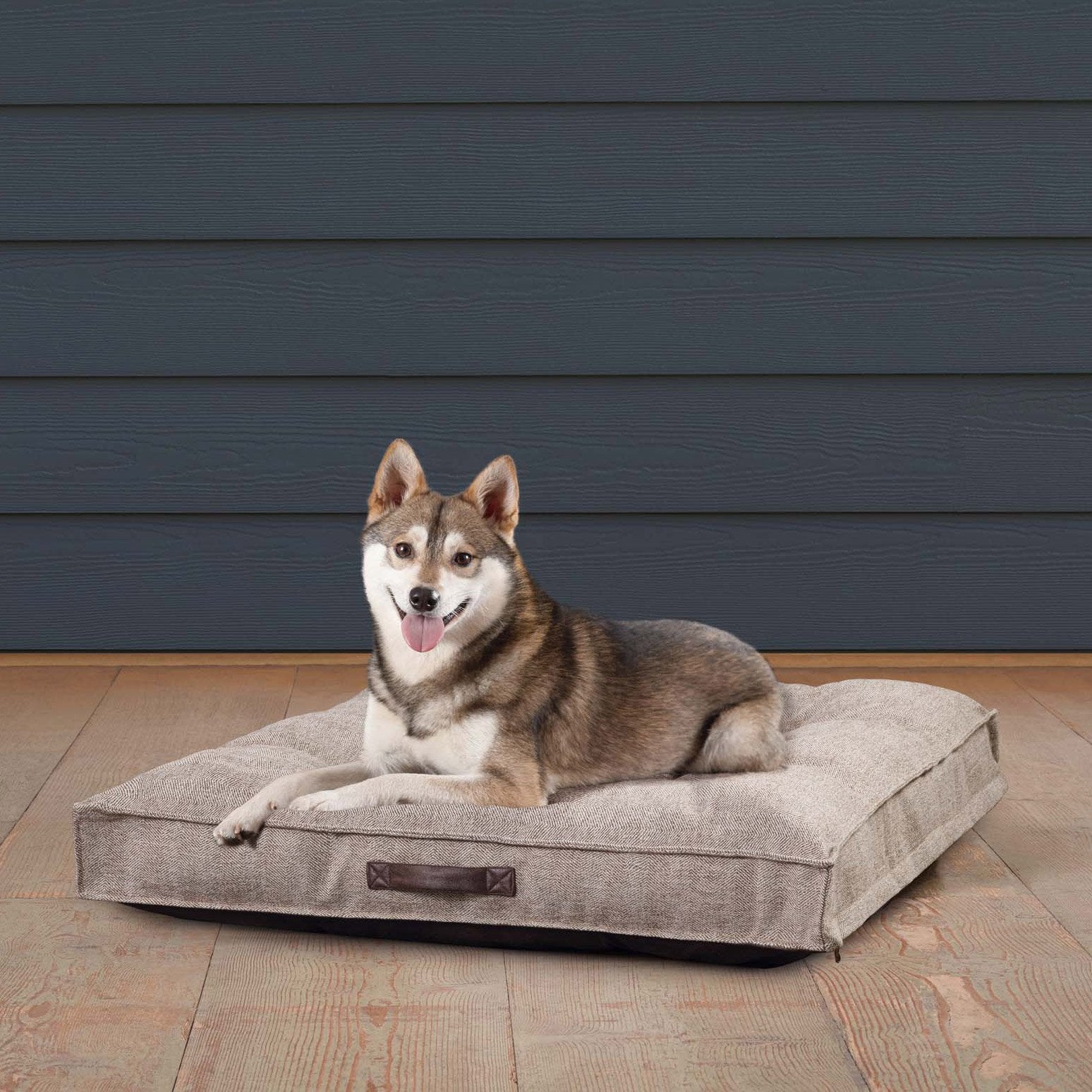 kirkland signature bolster dog bed