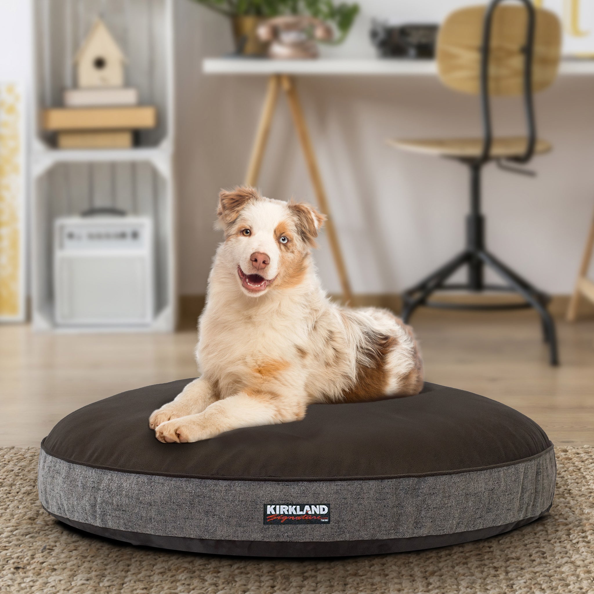 Kirkland Signature 42 Round Dog Bed Gray Textured Faux Suede With Littlemore