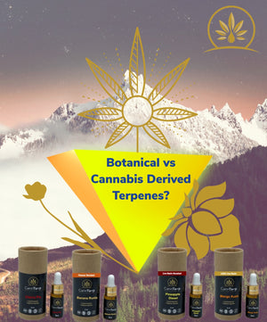 Unlocking The Aromatic Secrets Botanical Vs Cannabis Derived Terpene   Botanical Vs Hemp Dervices Terpenes 300x 