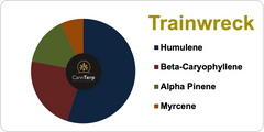 Terpene Strain Profile - Trainwreck Pie Chart