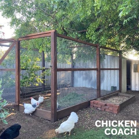 The difference between a chicken run and coop