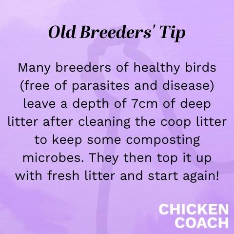 How to clean a chicken coop when you have a deep litter system