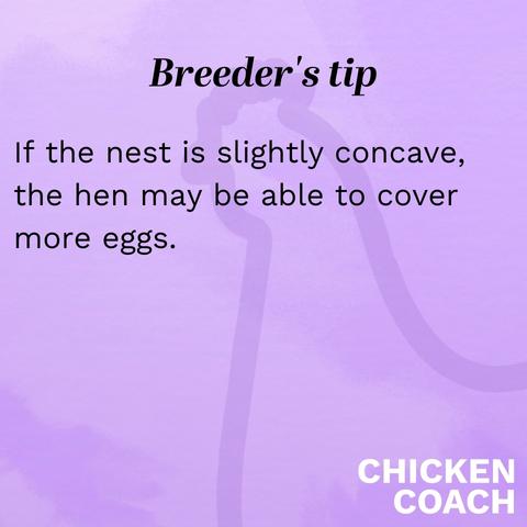 Breeder's tip - if the nest is slightly concave, the hen may be able to cover more eggs