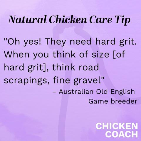 What is insoluble hard grit for chickens