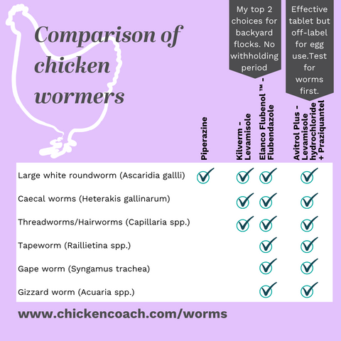 worming and worm treatments for backyard chickens