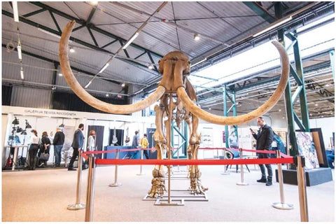 This year's show featured a 40,000-year-old mammoth skeleton, which also acted as the exhibition's symbol. 