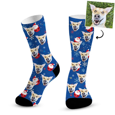 Put your Dog on Socks! - The Best Custom Dog Socks