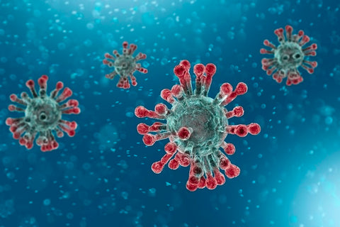 corona virus covid-19  