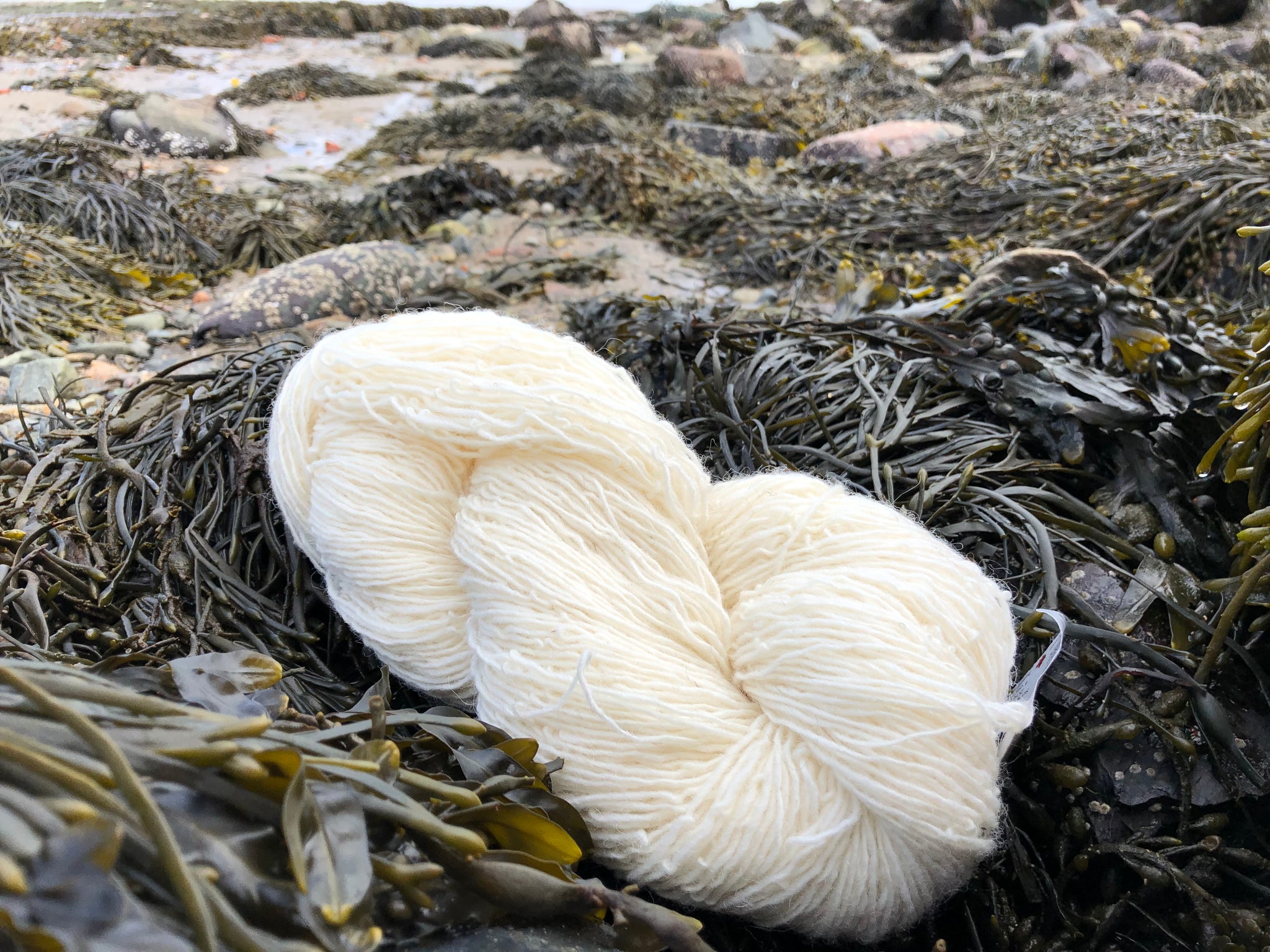 BULK Bare Yarn for Dyeing – Maritime 