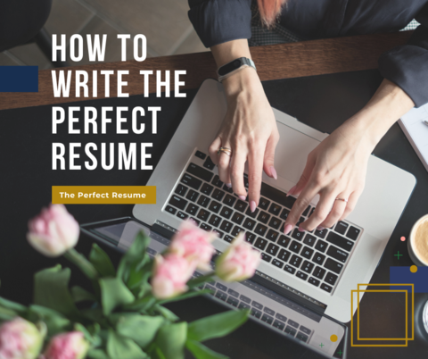 How to write the perfect resume