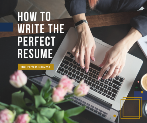 How To Write The Perfect Resume