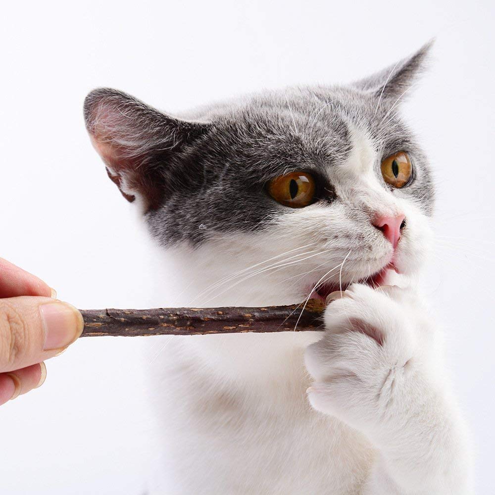sticks for cats to chew