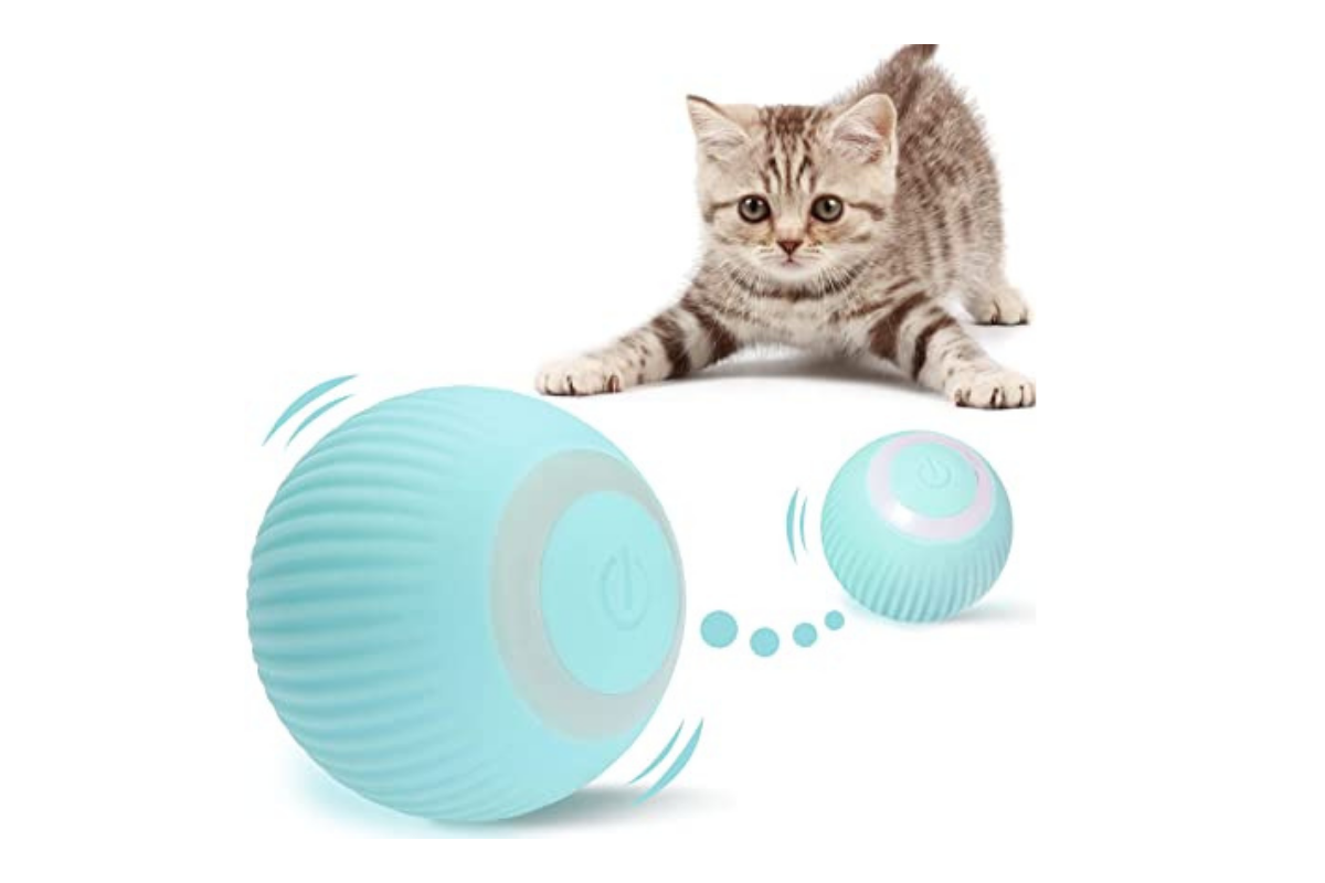 cat with usb smart ball