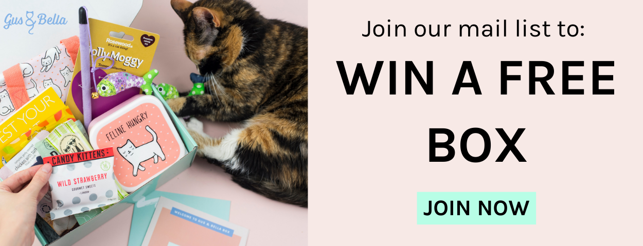 win a gus and bella box image
