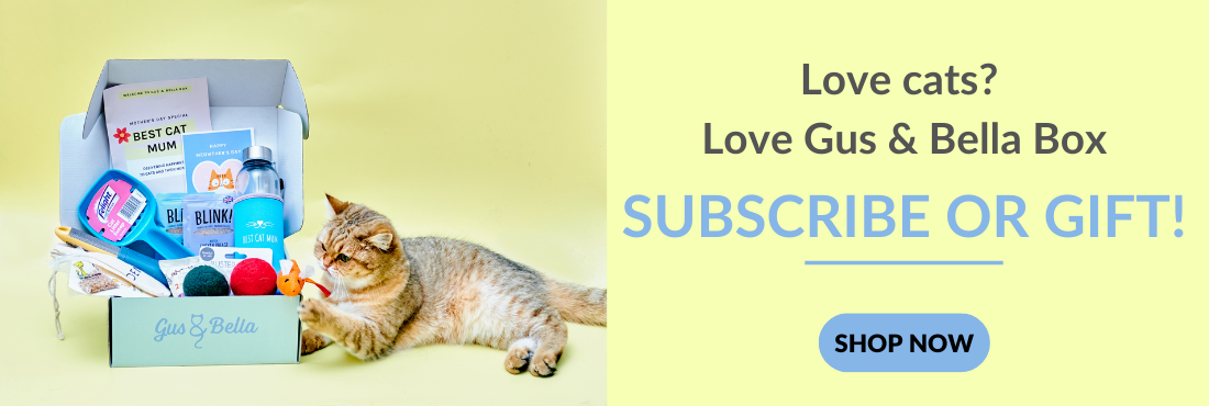 subscribe or gift gus and bella box 