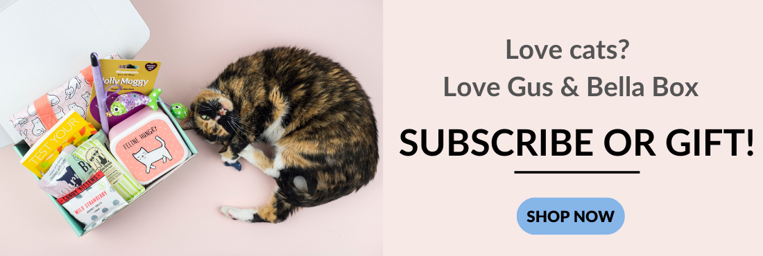 subscribe to gus and bella cat box 