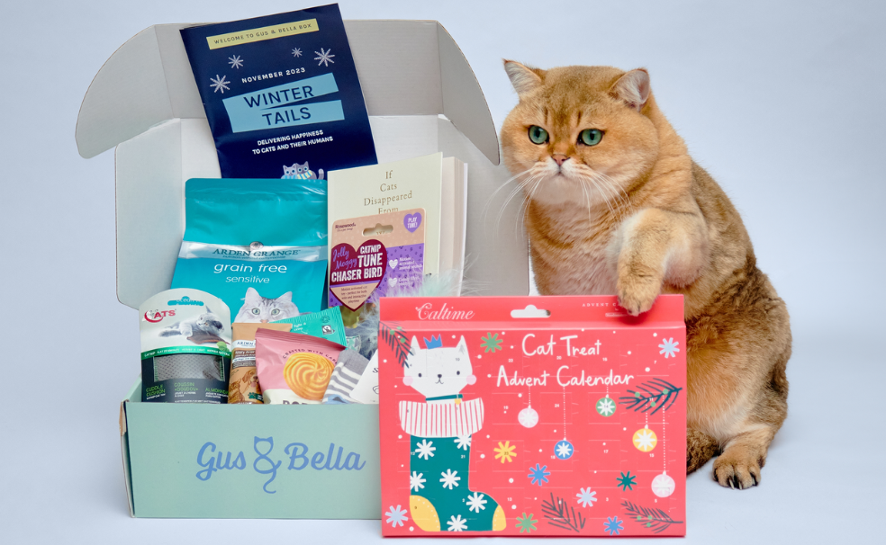Cat Lady Box | Bags | Cat Lady Box Grey Cat Purse | Poshmark