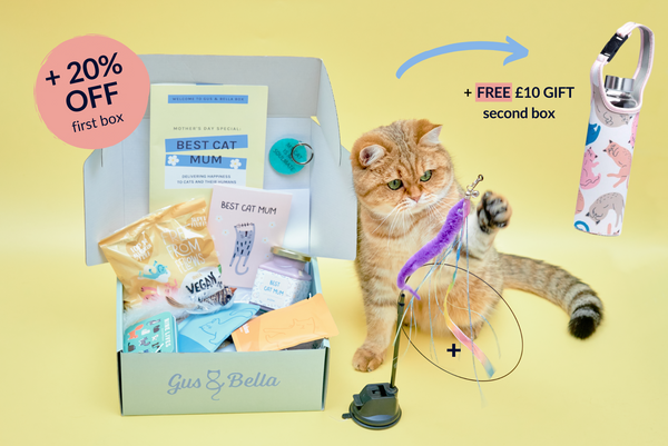 March Gus & Bella subscription box for cats