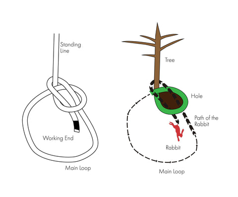 This shows which parts of the rope are the "rabbit" the "tree," and the "hole."