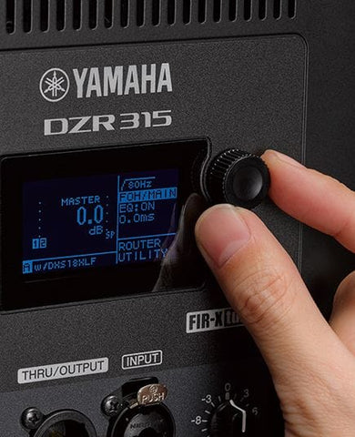 Back of Yamaha DZR