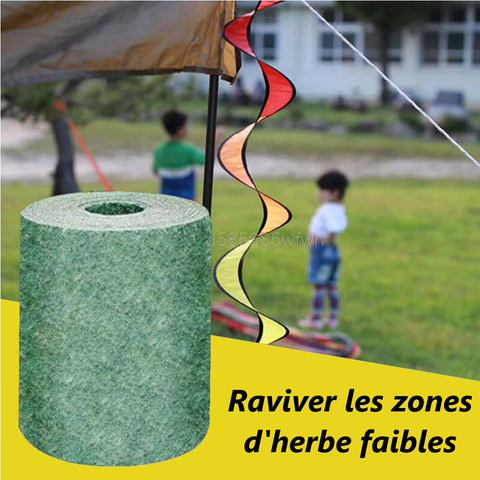 Tapis de graines de gazon biodégradable, tapis de pelouse, pelouse