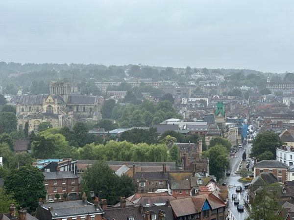 View over Winchester, featuring Winchester Cathedral.