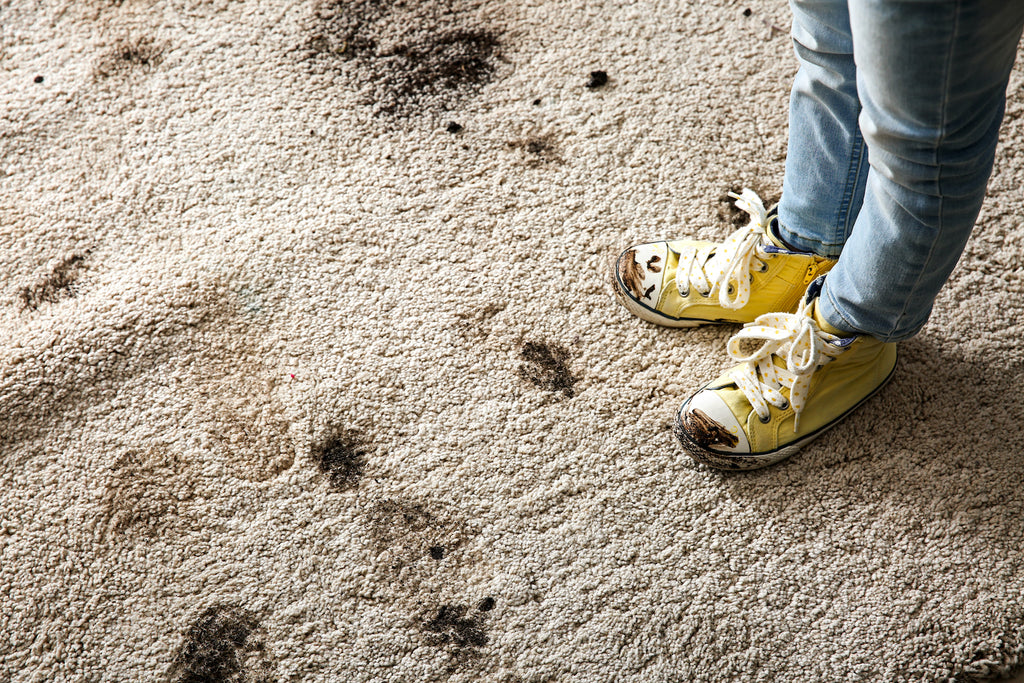 Muddy Feet on Carpet