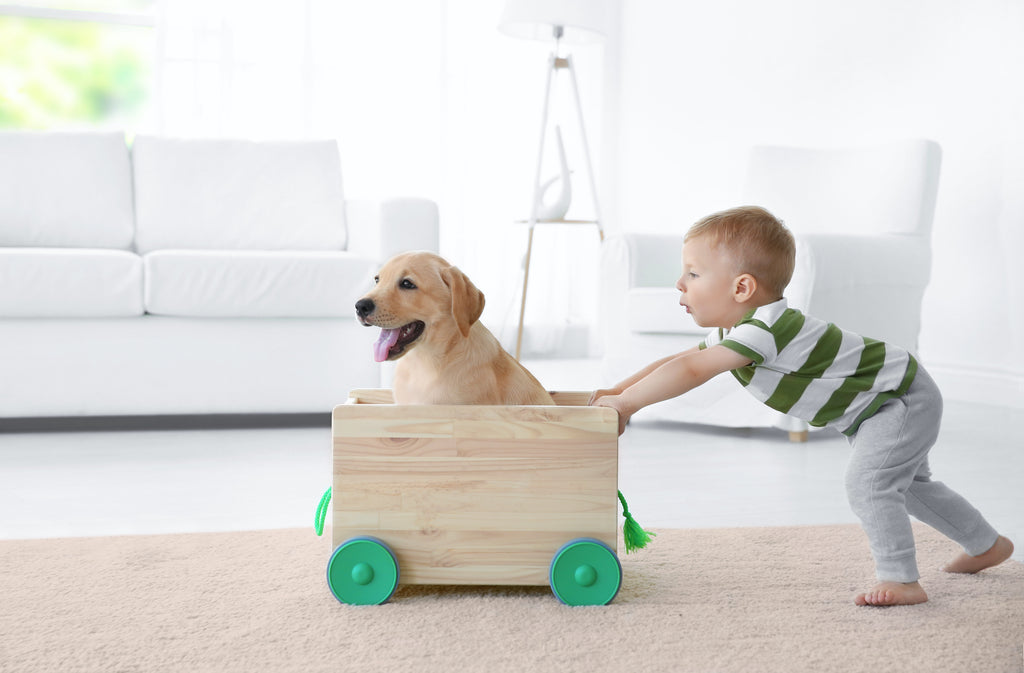 Child and dog friends