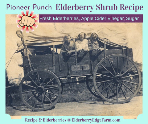 Pioneer Punch Elderberry Shrub Recipe