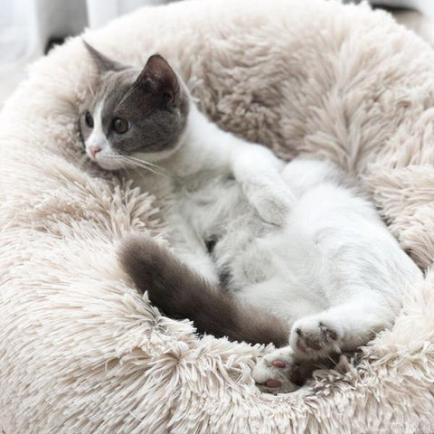 cat bed fluffy cushion cat cozy bed