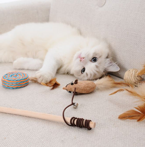 cat play toy cat teaser natural teaser rod